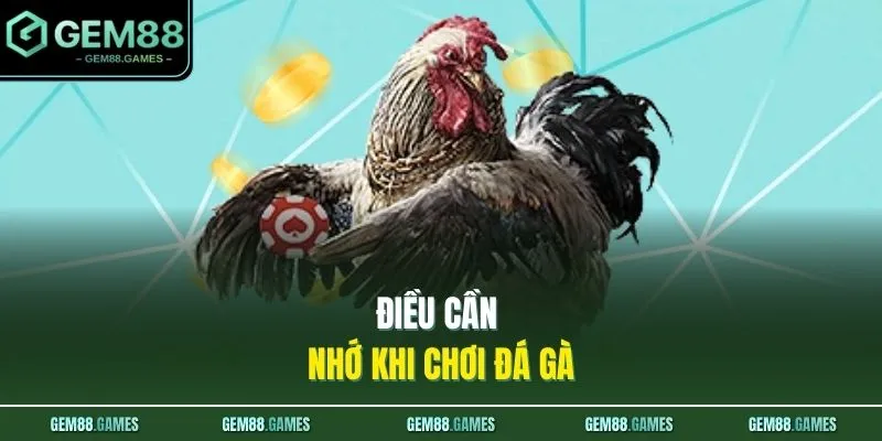 Đá Gà GEM88 4 Điều cần nhớ khi chơi đá gà