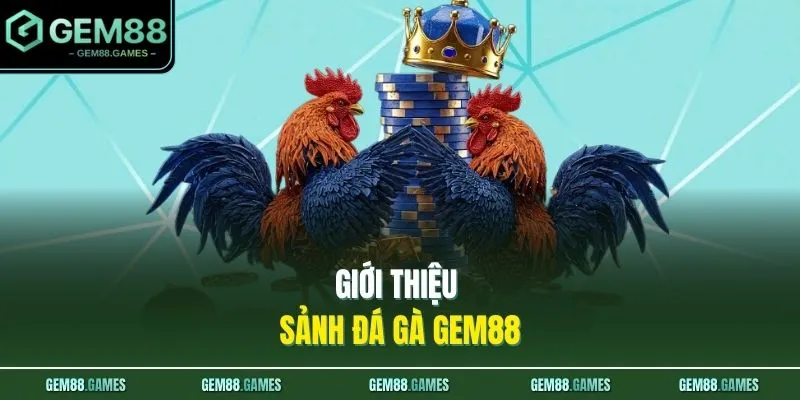 Đá Gà GEM88 1 Giới thiệu sảnh đá gà GEM88