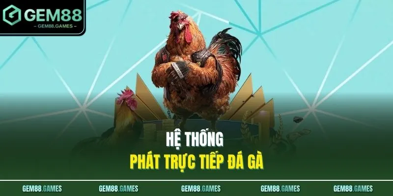 Đá Gà GEM88 3 Hệ thống phát trực tiếp đá gà